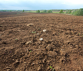 A field of soil
